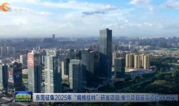 东莞楼市爆料新闻,揭秘最新房价走势与热门项目曝光